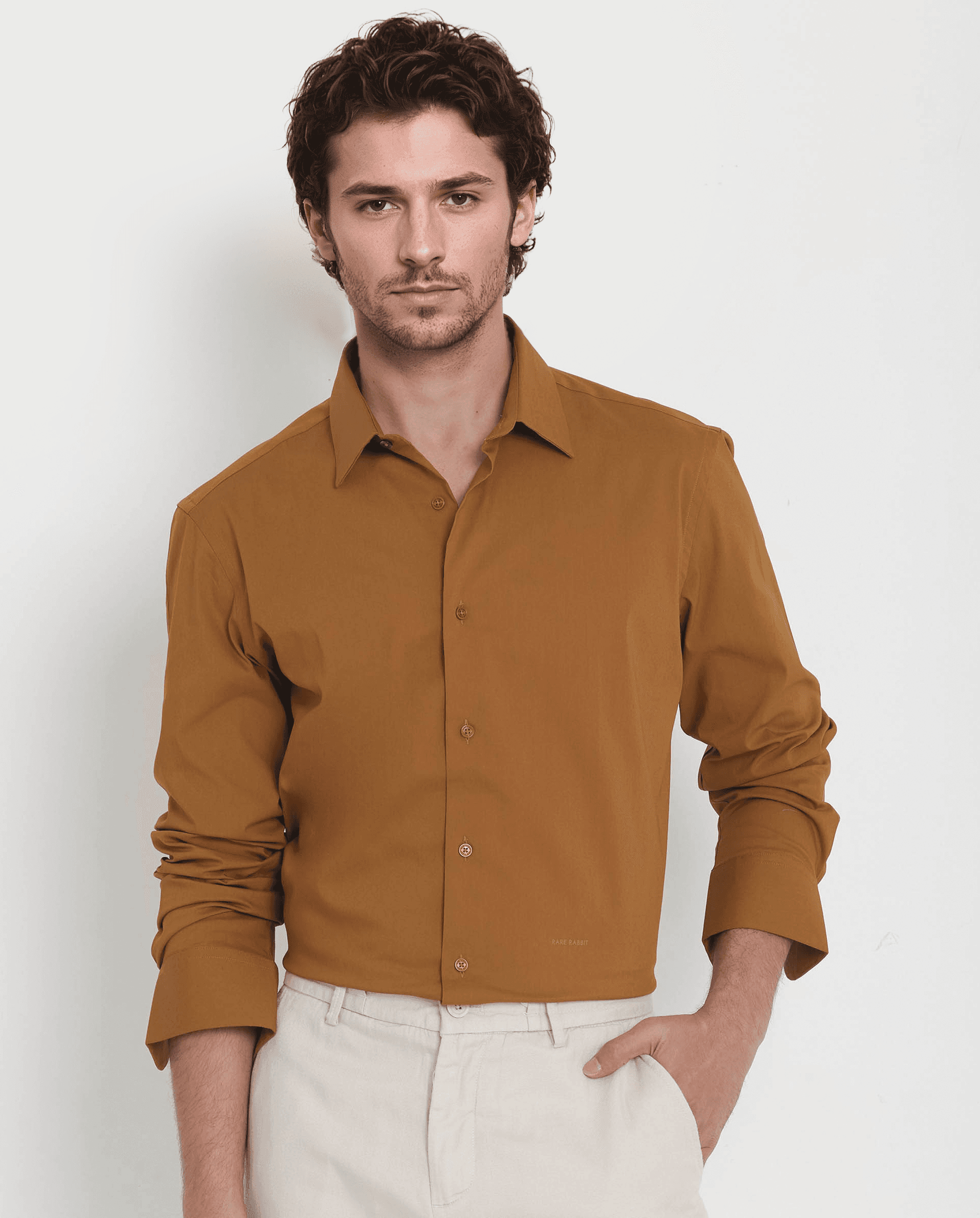 Men's Brown Formal Solid Regular Fit Cotton Shirt