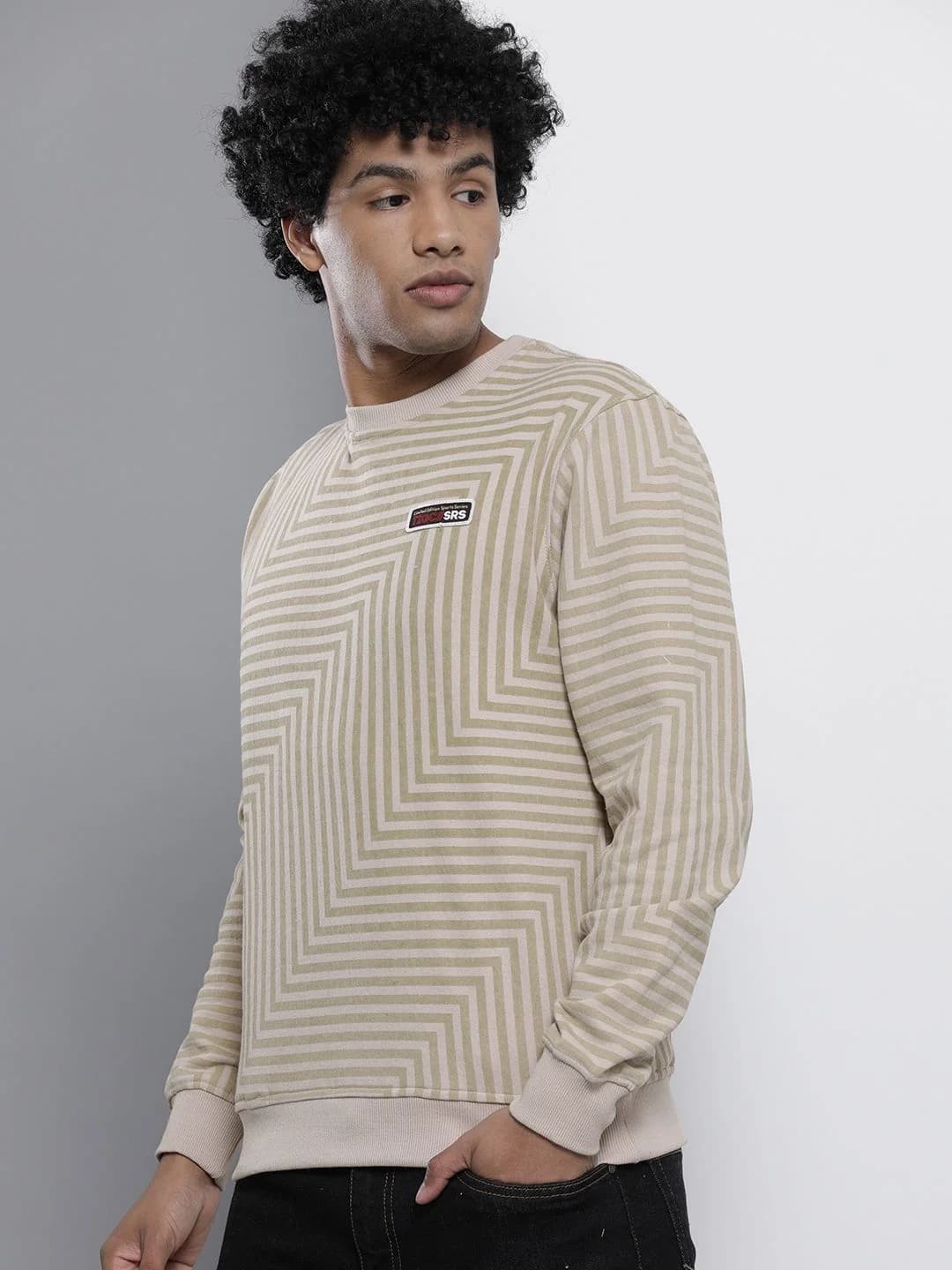 Men's Beige Casual Striped Regular Fit Sweatshirt