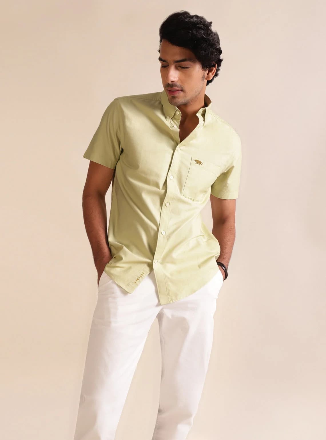 Men's Green Casual Solid Regular Fit Cotton Shirt