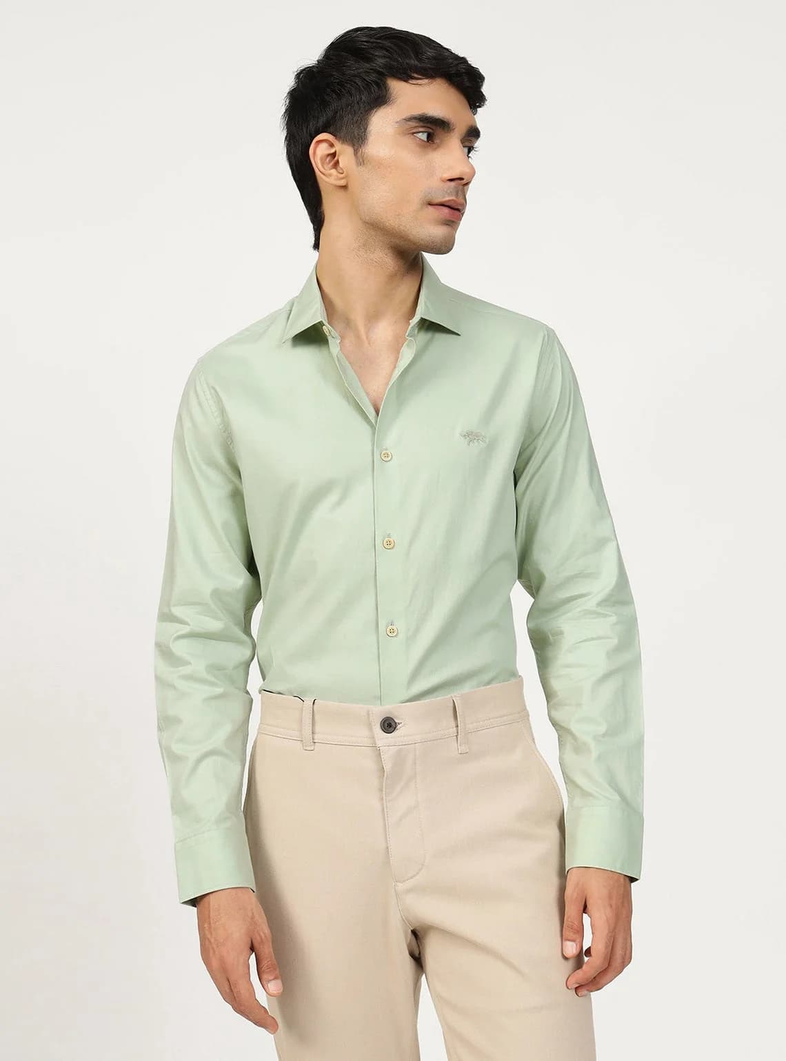 Men's Green Formal Solid Regular Fit Cotton Shirt