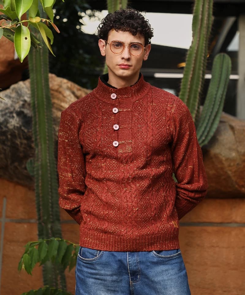 Men's Brown Casual Solid Sweater