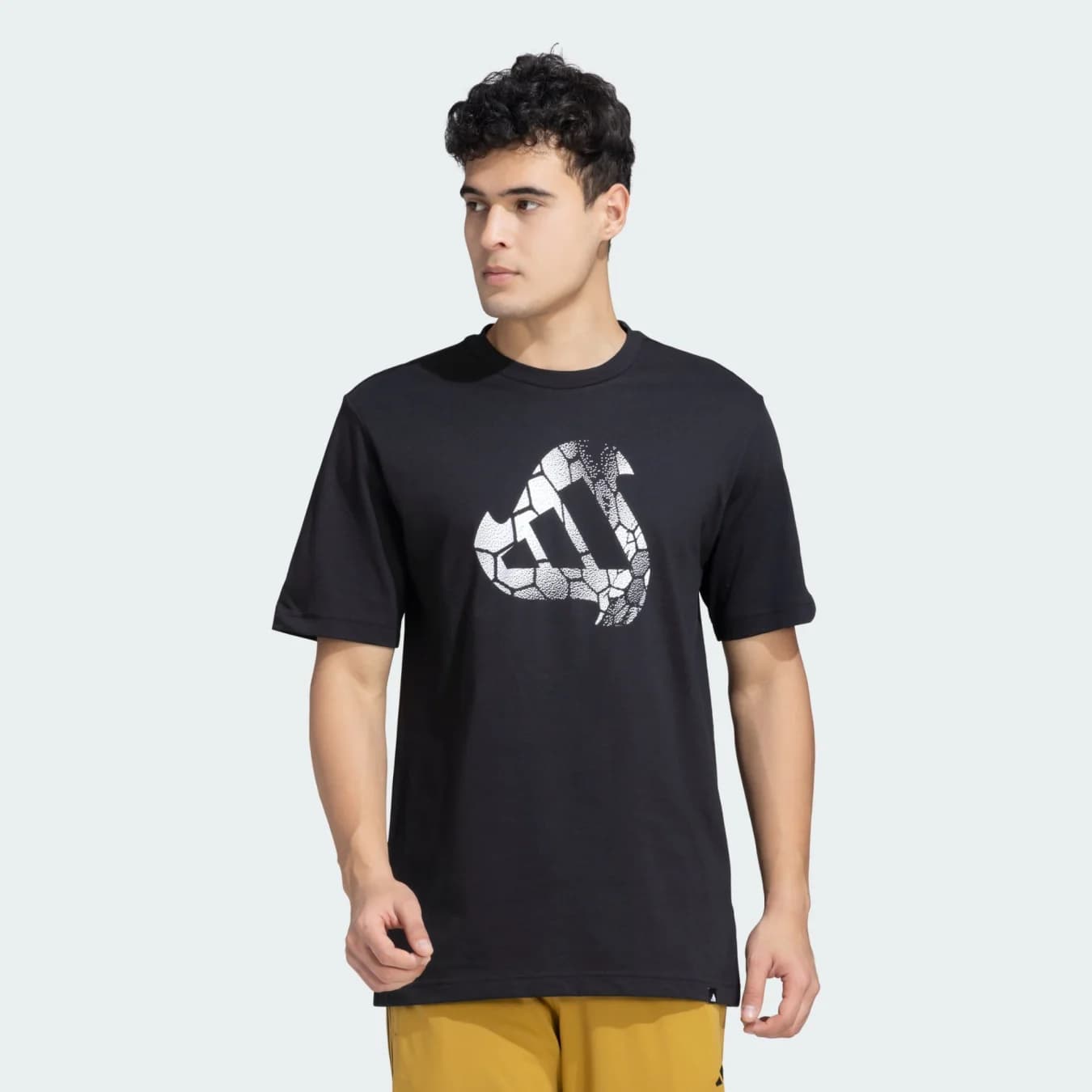 Men's Black Casual Regular Fit Tshirt