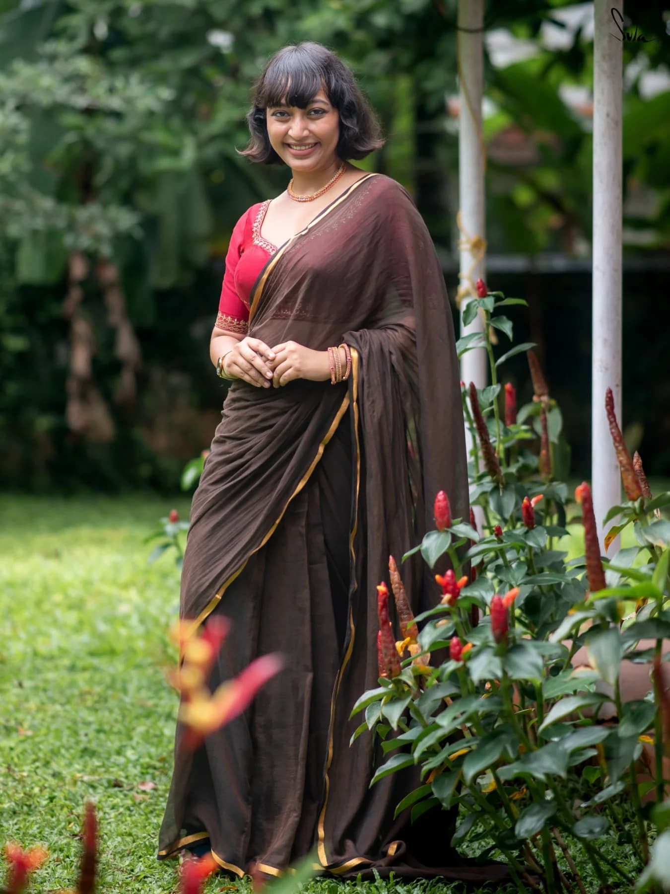 Women's Brown Casual Solid Regular Fit Saree