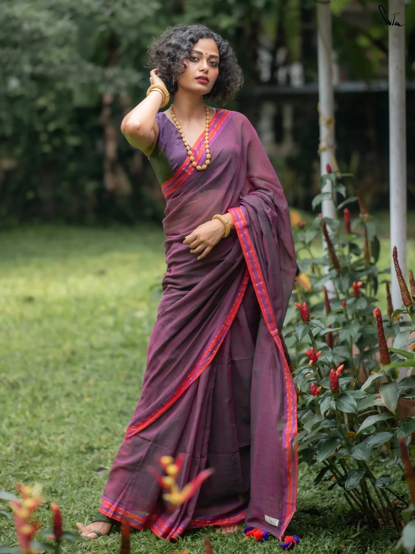 Women's Pink Casual Solid Regular Fit Saree