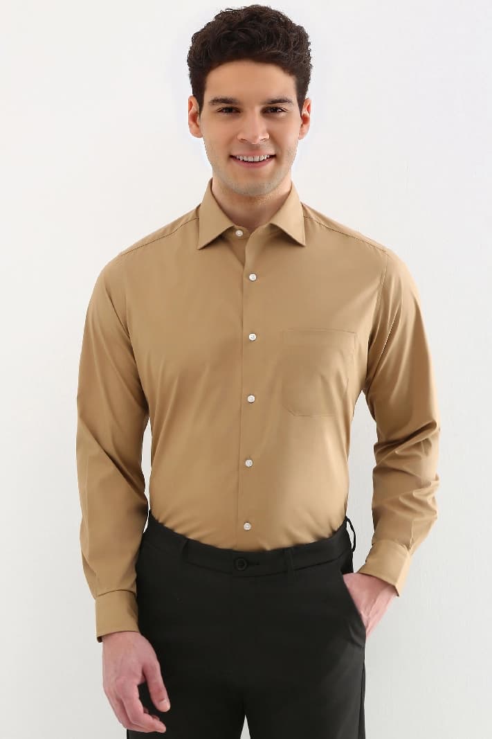 Men's Brown Formal Solid Regular Fit Shirt