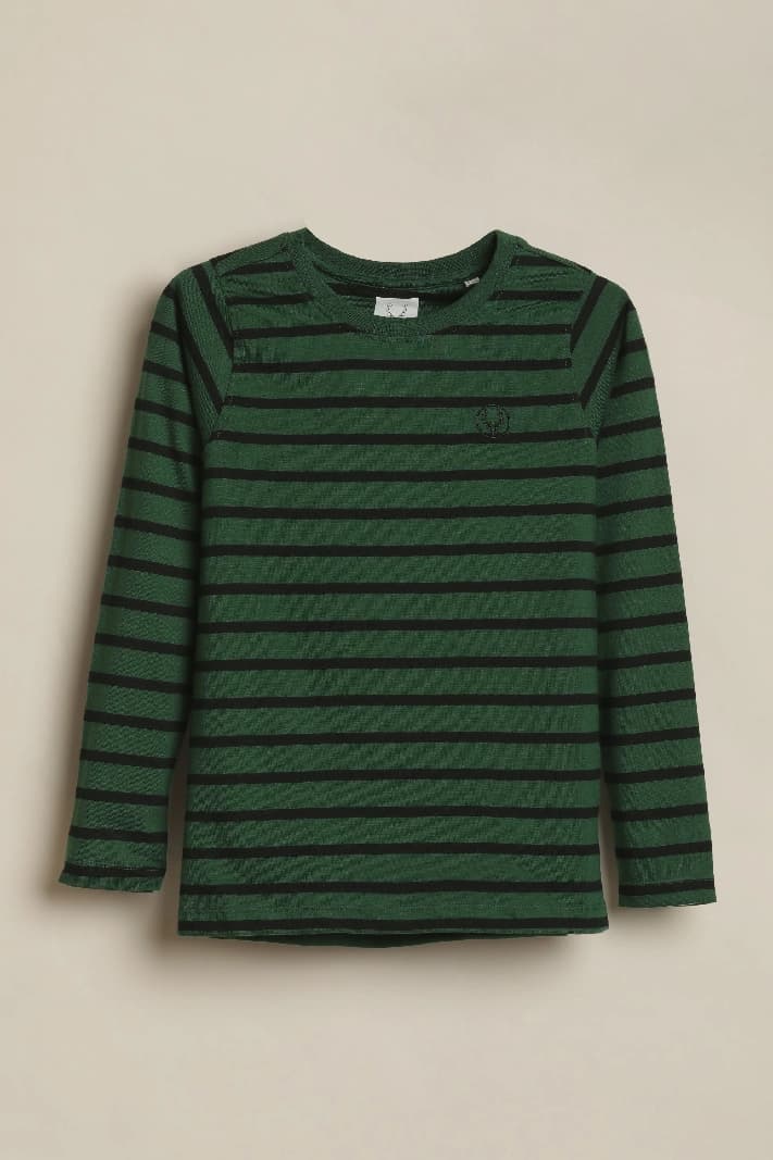 Boys Green Casual Striped Regular Fit Full Sleeves Tshirt