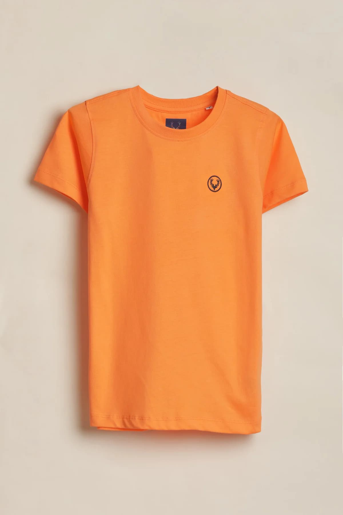 Boys Green and Orange Casual Solid Regular Fit Tshirt - Pack of 2
