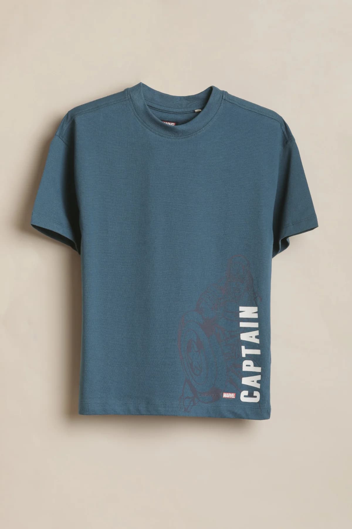 Boys Blue Casual Printed Regular Fit Tshirt