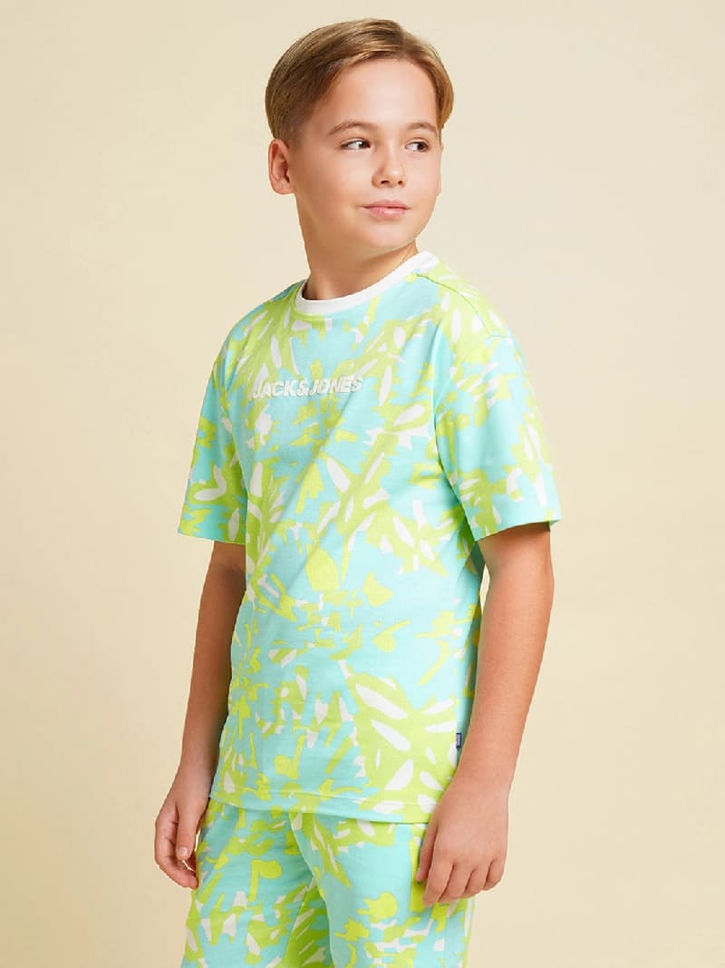 Boys Blue Printed Regular Fit Casual Tshirt