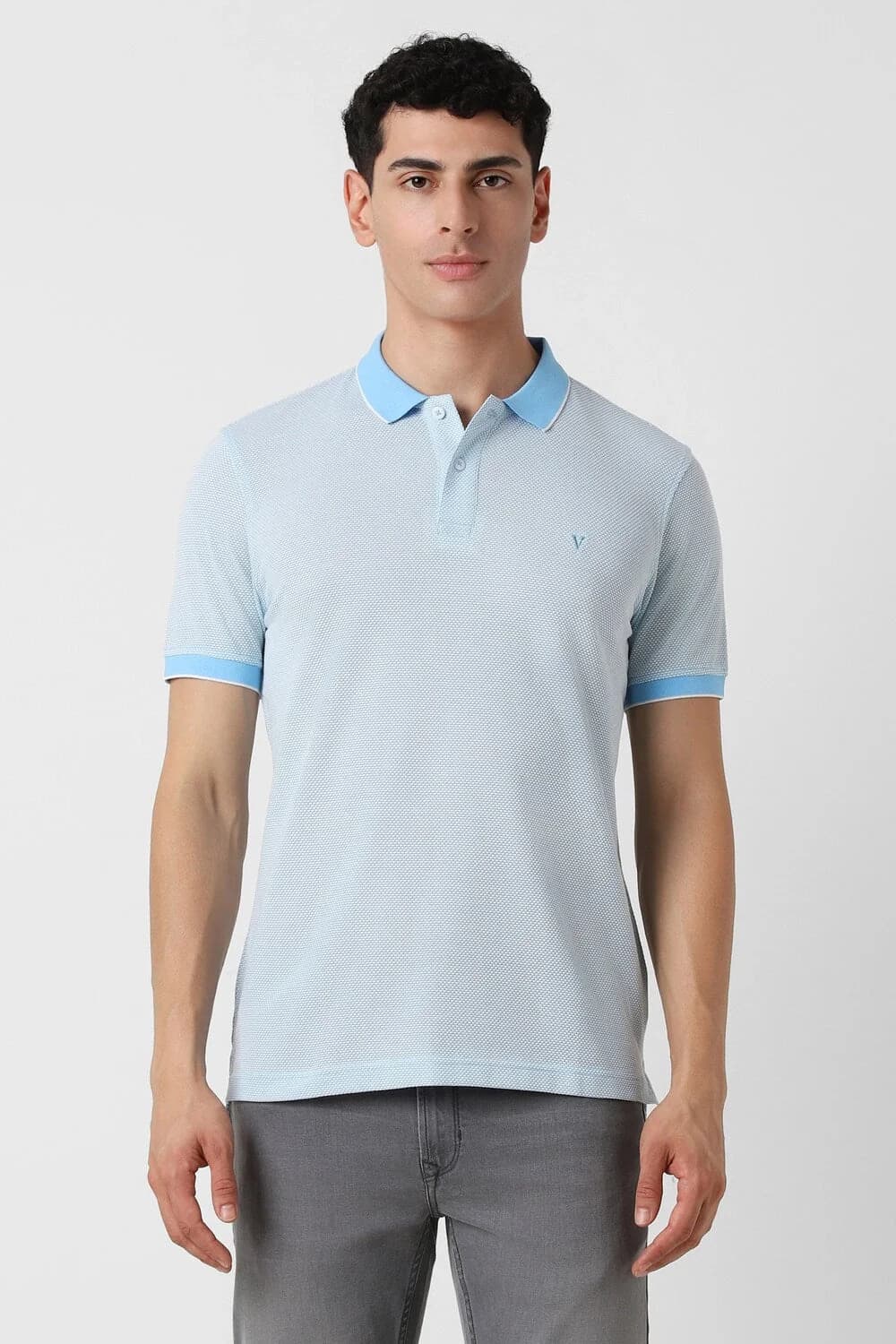 Men's Blue Casual Solid Regular Fit Polo Tshirt