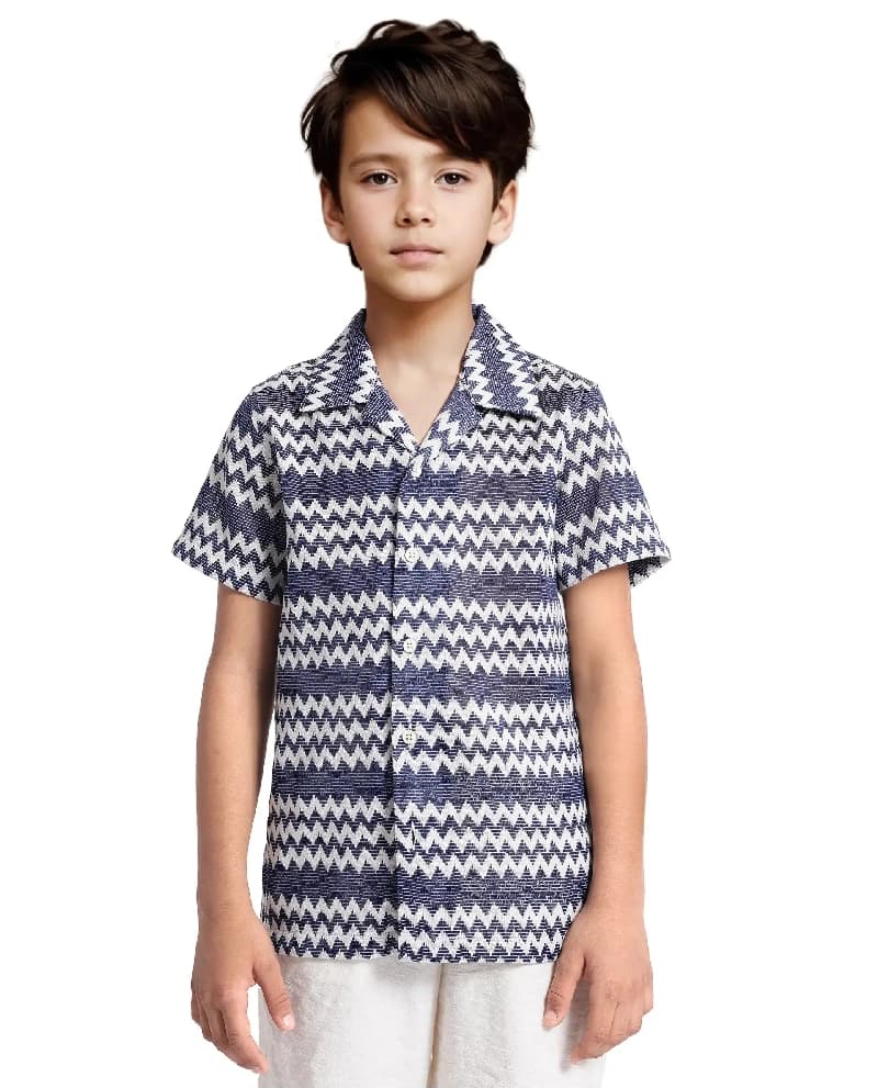 Boys Blue Casual Regular Fit Printed Half Sleeves Shirt
