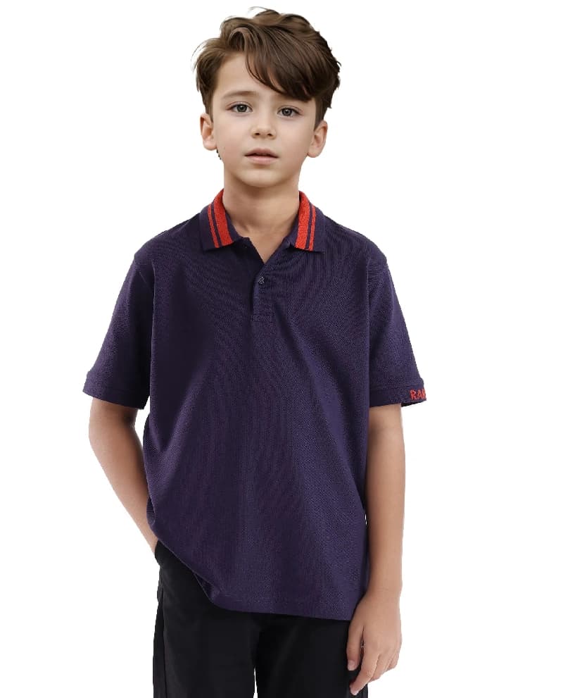 Boys Purple Casual Regular Fit Solid Half Sleeves Polo Tshirt