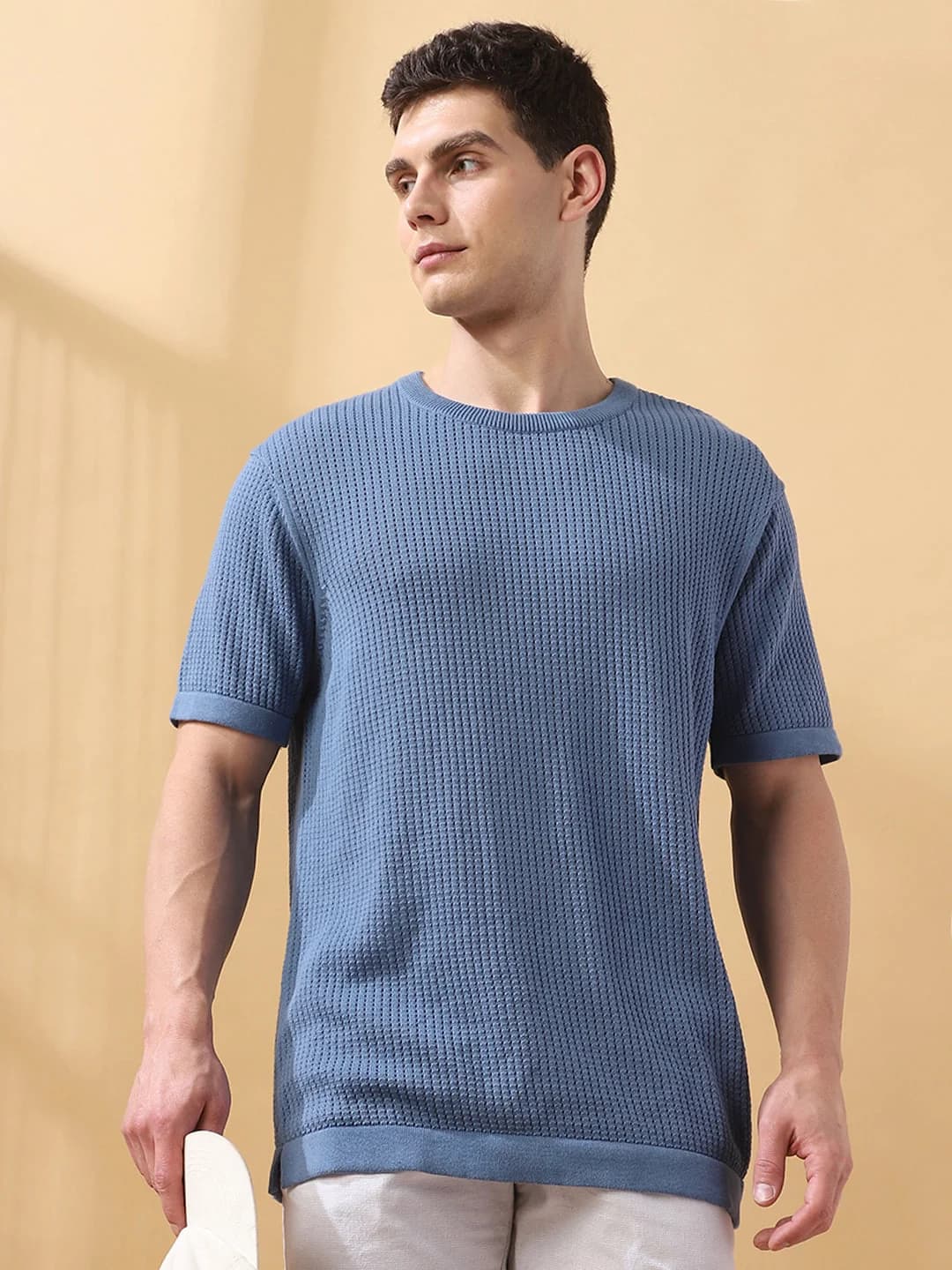 Men's Blue Casual Solid Regular Fit Tshirt