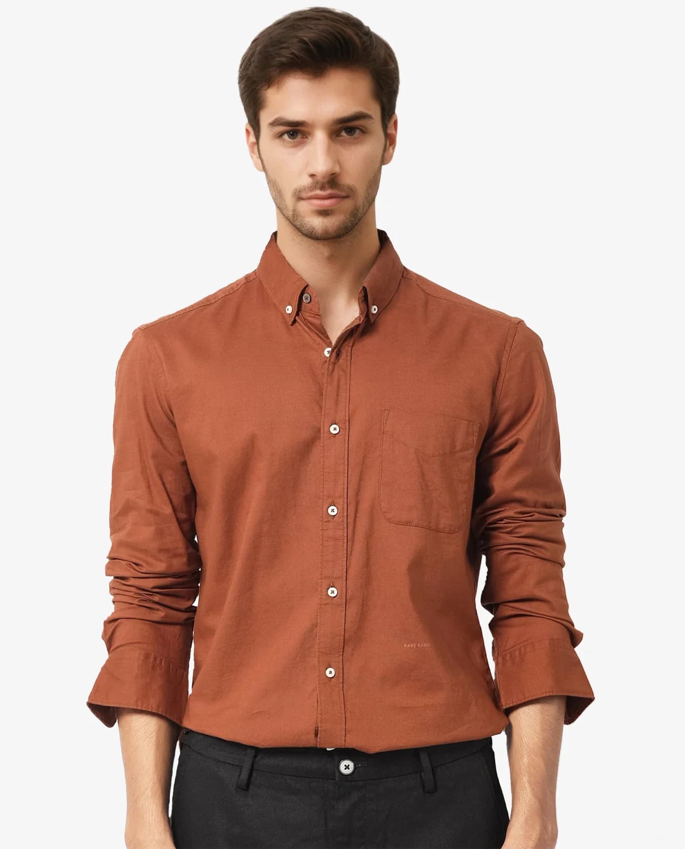 Men's Brown Formal Solid Regular Fit Cotton Shirt