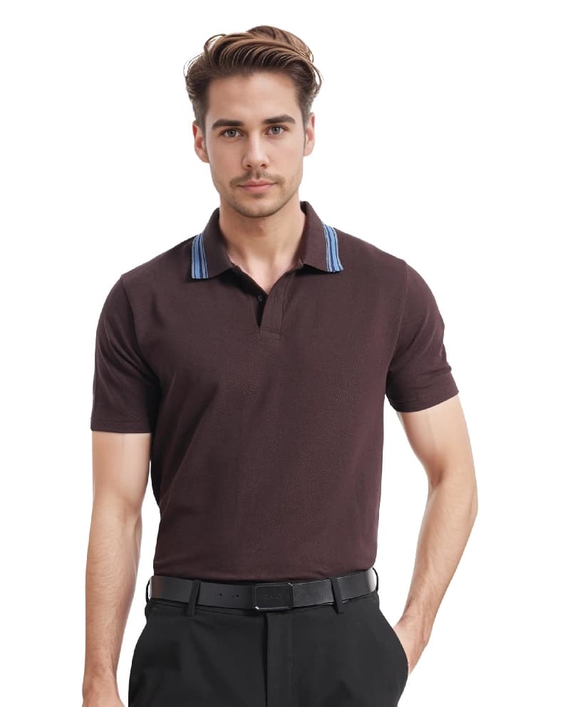 Men's Brown Casual Solid Regular Fit Polo Tshirt
