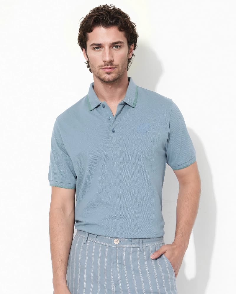 Men's Blue Casual Solid Regular Fit Polo Tshirt
