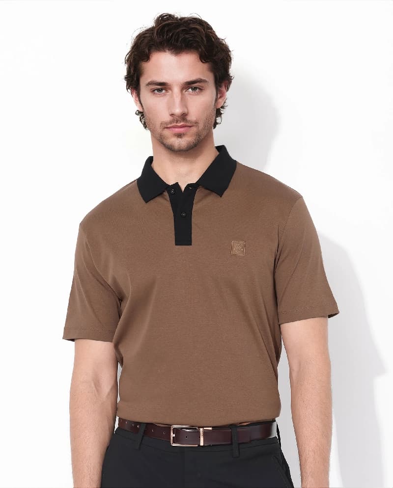 Men's Brown Casual Solid Regular Fit Polo Tshirt