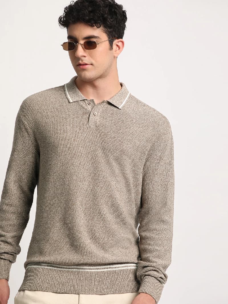 Men's Brown Casual Solid Regular Fit Polo Tshirt