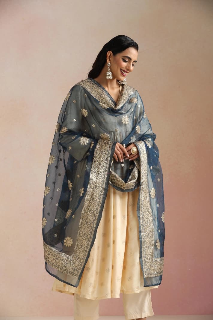 Women's Navy Gold Weave Banarasi Dupatta