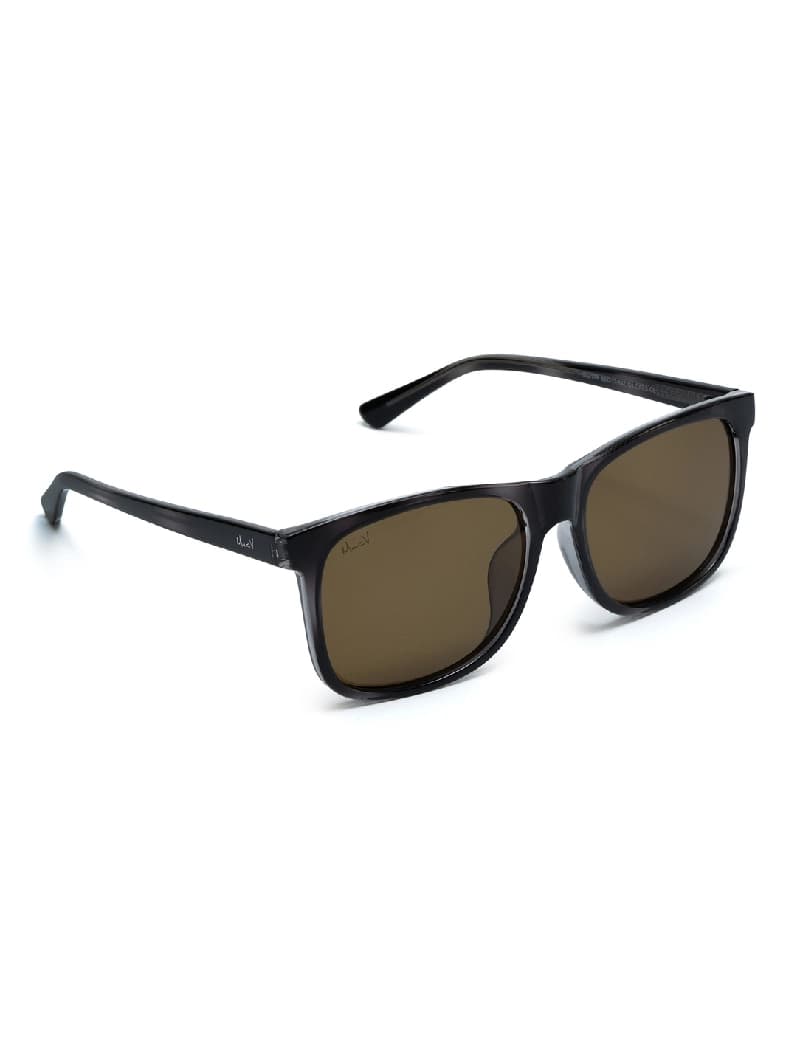 Unisex Brown Casual Wayfarer Sunglass