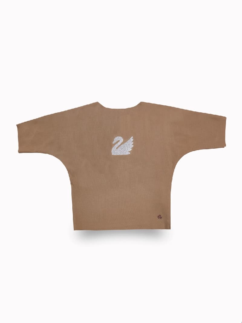 Girls Brown Casual Printed Half Sleeves Cropped Top