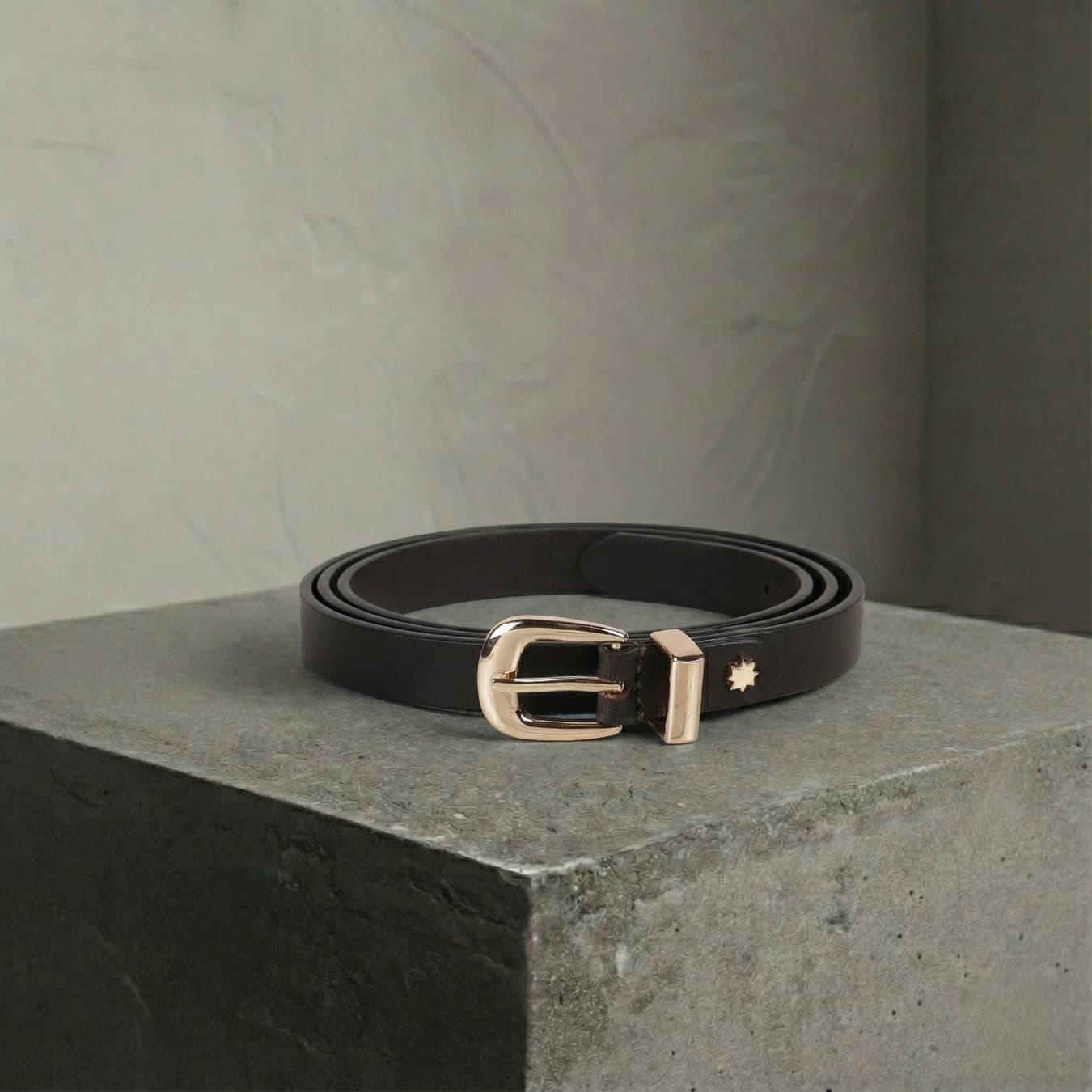 Women's Brown Formal Solid Synthetic Belt