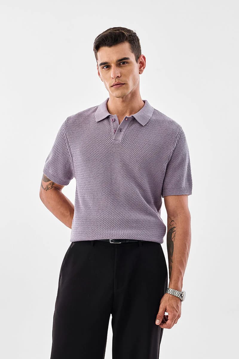 Men's Purple Casual Regular Fit Textured Half Sleeves Polo Tshirt
