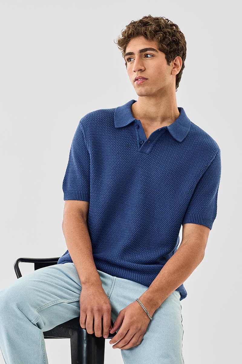 Men's Blue Casual Regular Fit Textured Half Sleeves Polo Tshirt