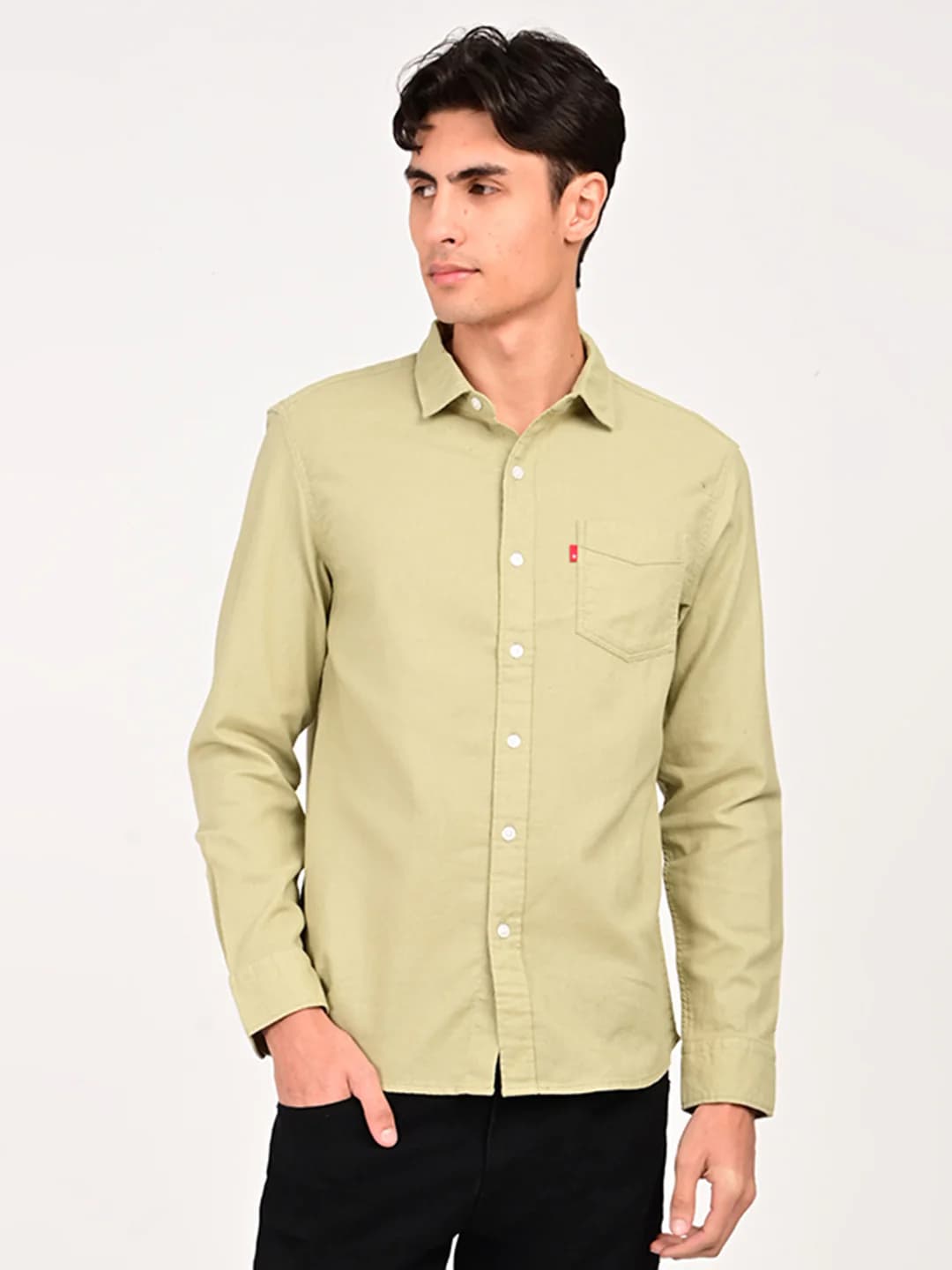 Men's Green Casual Solid Spread Collar Cotton Shirt