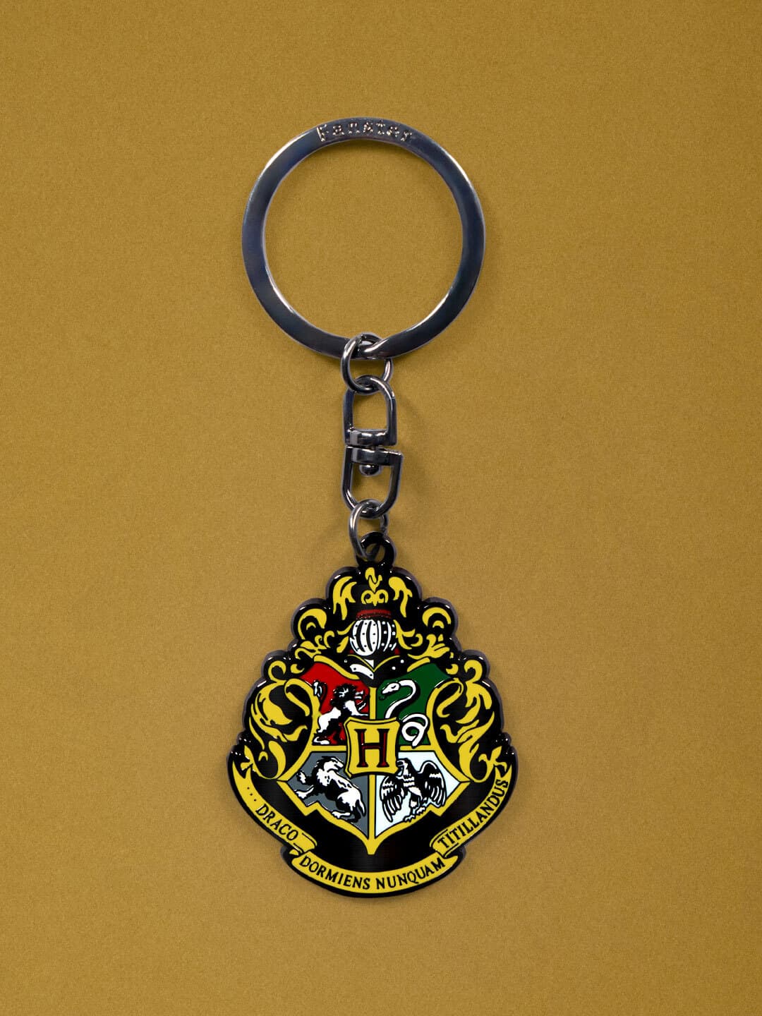 Unisex Multicolor Harry Potter- Hogwarts Keychain