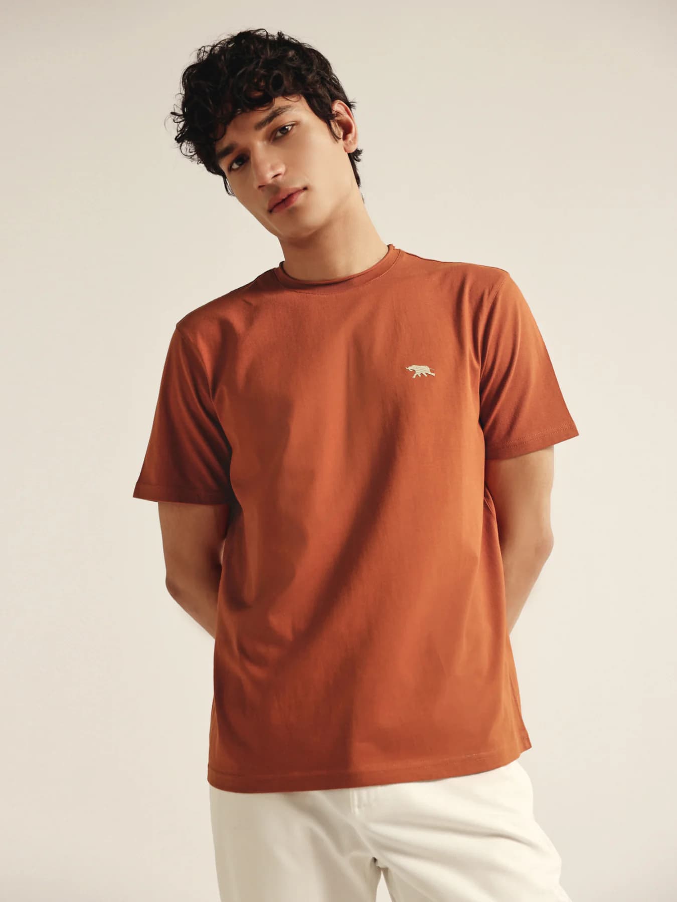 Men's Orange Casual Regular Fit Solid Half Sleeves Tshirt